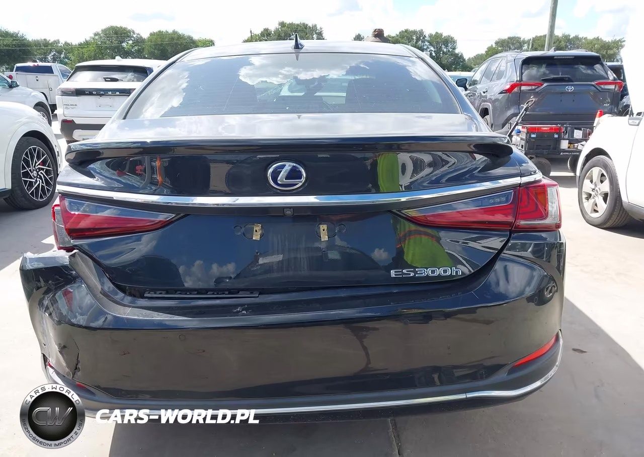 2019 Lexus Es 300H Luxury VIN:JTHB21B17K2007886 - 16