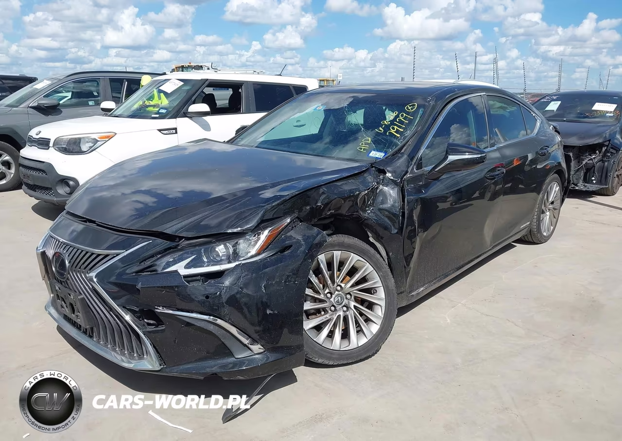 2019 Lexus Es 300H Luxury VIN:JTHB21B17K2007886 - 2