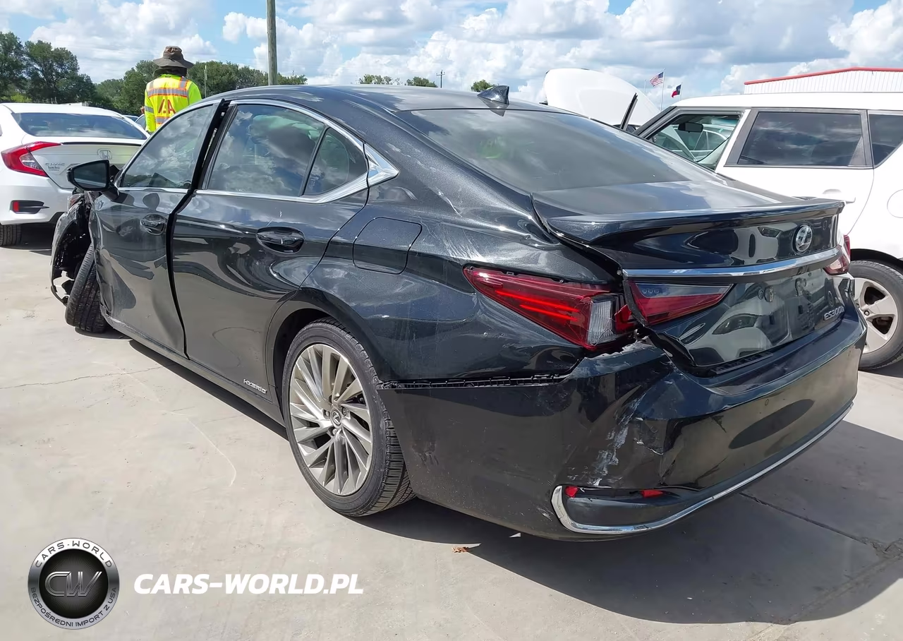 2019 Lexus Es 300H Luxury VIN:JTHB21B17K2007886 - 3