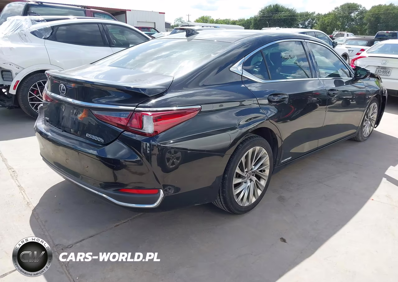 2019 Lexus Es 300H Luxury VIN:JTHB21B17K2007886 - 4