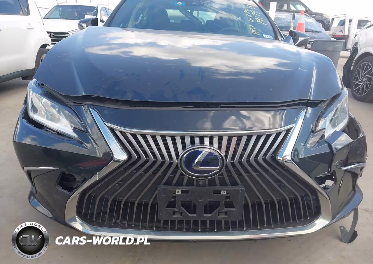 2019 Lexus Es 300H Luxury VIN:JTHB21B17K2007886 - 6
