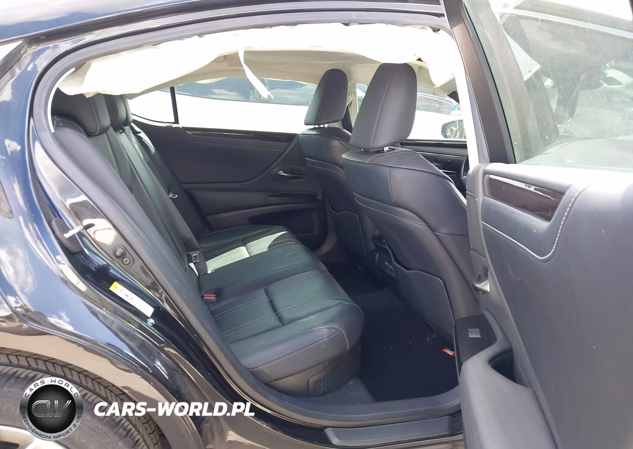2019 Lexus Es 300H Luxury VIN:JTHB21B17K2007886 - 8