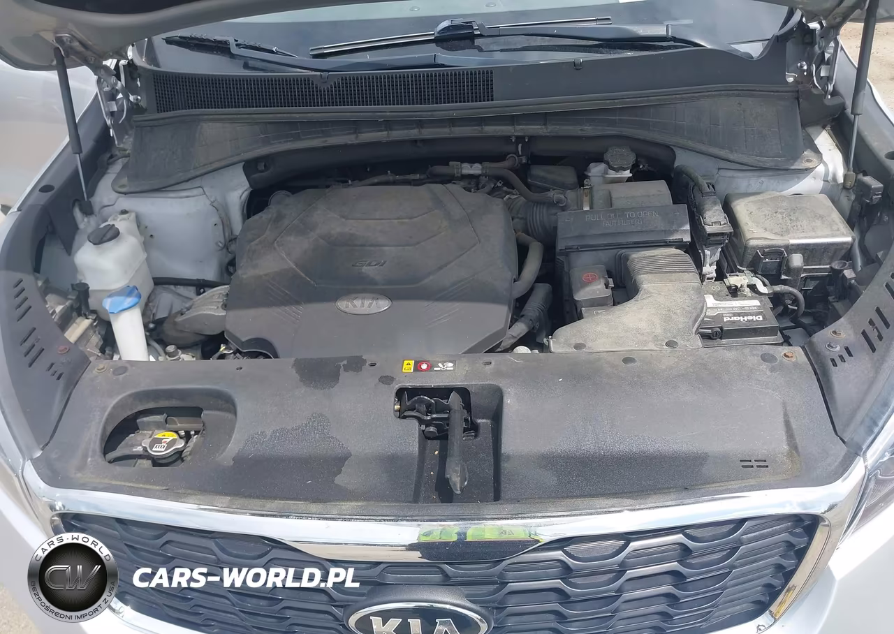 2019 Kia Sorento 3.3L Lx VIN:5XYPGDA54KG447682 - 10