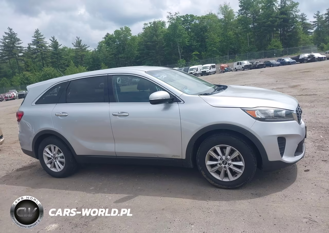 2019 Kia Sorento 3.3L Lx VIN:5XYPGDA54KG447682 - 13