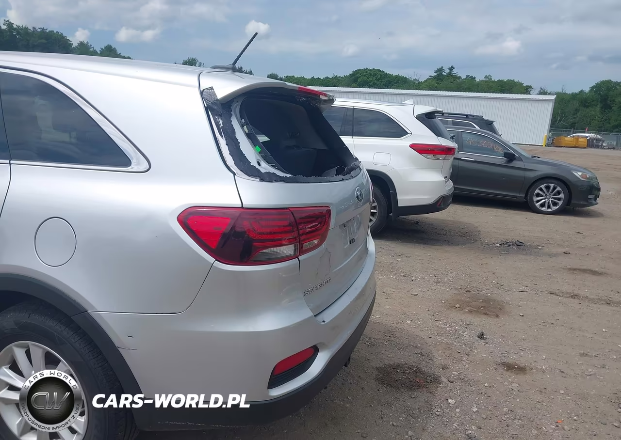 2019 Kia Sorento 3.3L Lx VIN:5XYPGDA54KG447682 - 17