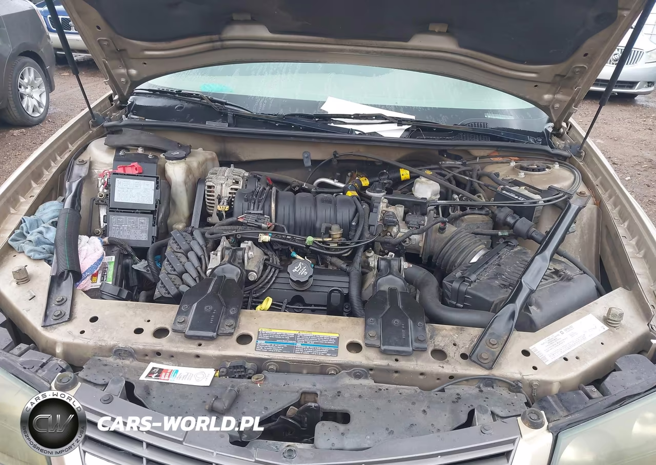 2004 Chevrolet Impala Ls VIN:2G1WH52K149335075 - 10