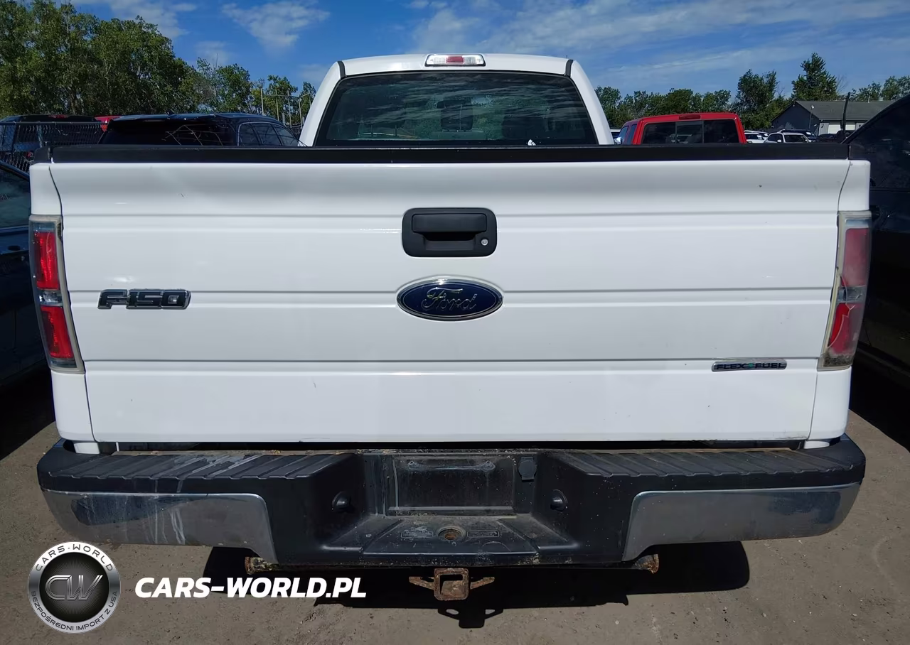 2014 Ford F-150 Xl VIN:1FTNF1CF3EKD83938 - 16