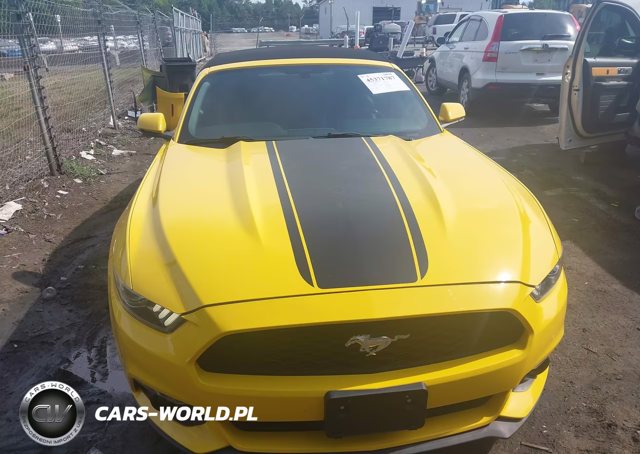 2017 Ford Mustang Ecoboost Premium VIN:1FATP8UH2H5267619 - 13