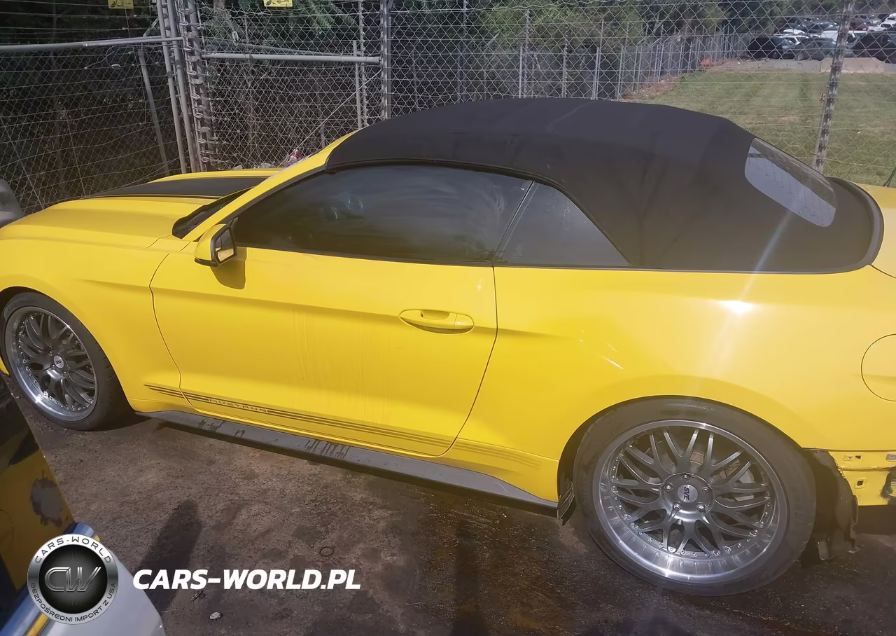 2017 Ford Mustang Ecoboost Premium VIN:1FATP8UH2H5267619 - 15