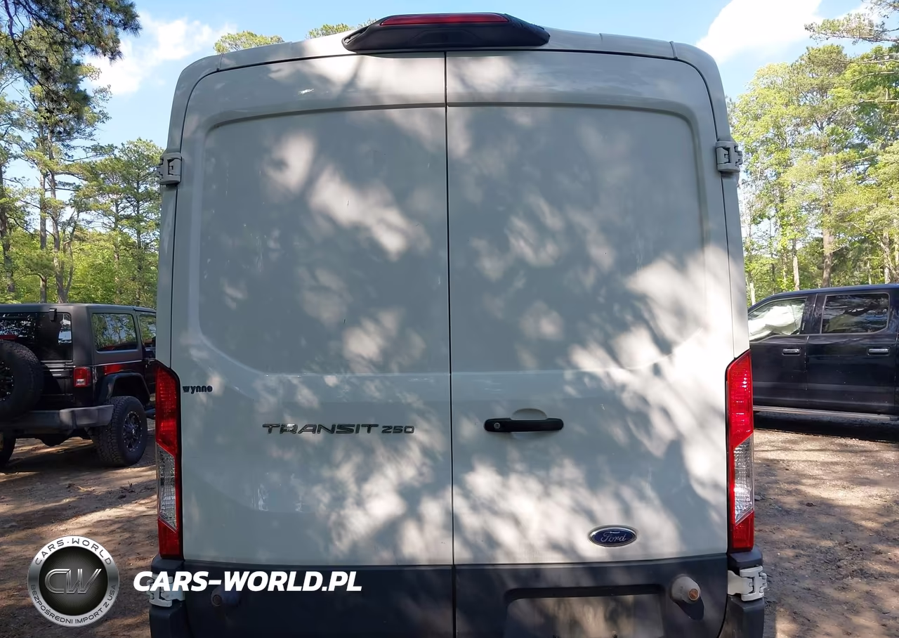 2018 Ford Transit-250 VIN:1FTYR2CM6JKA94989 - 16