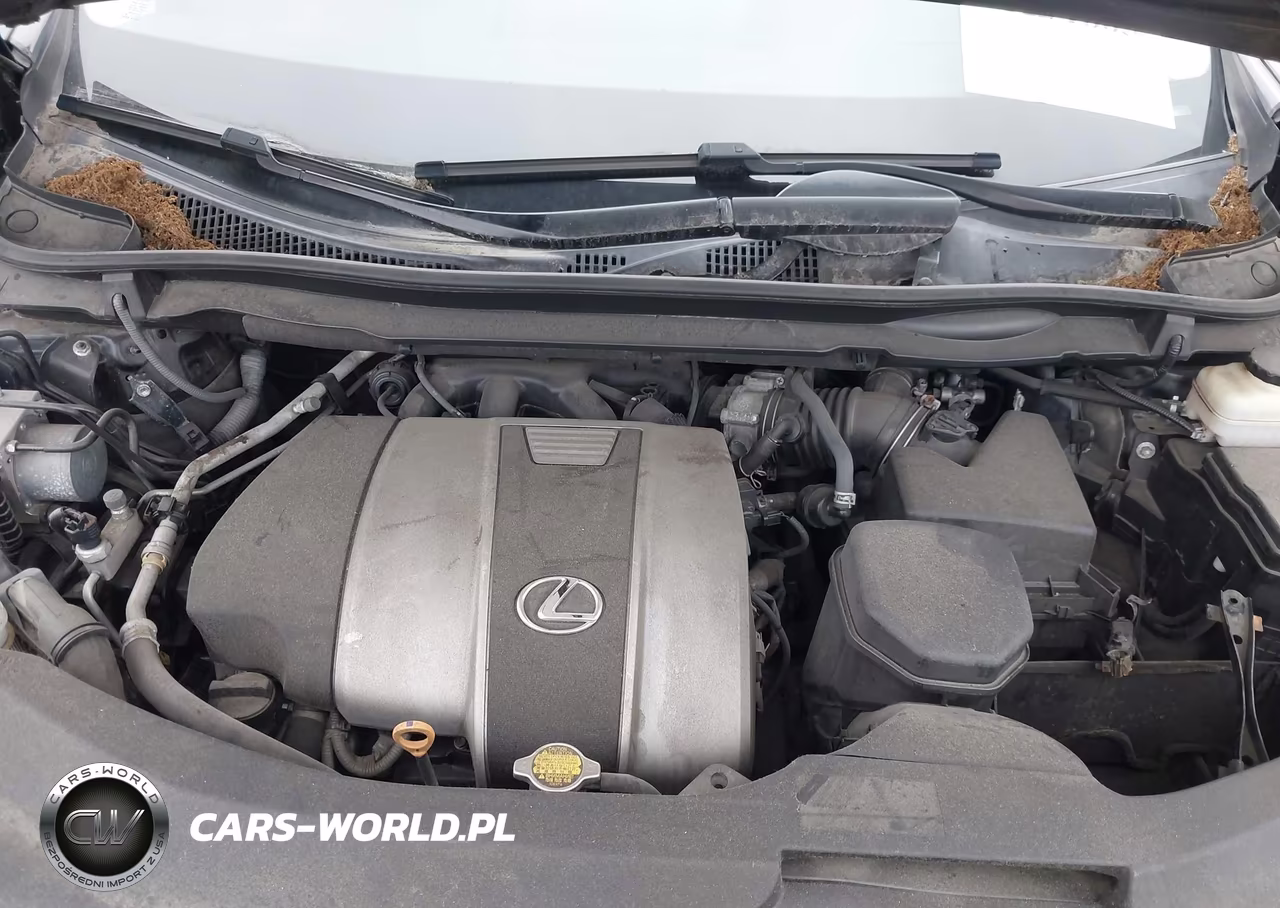 2017 Lexus Rx 350 VIN:2T2ZZMCA6HC046325 - 10