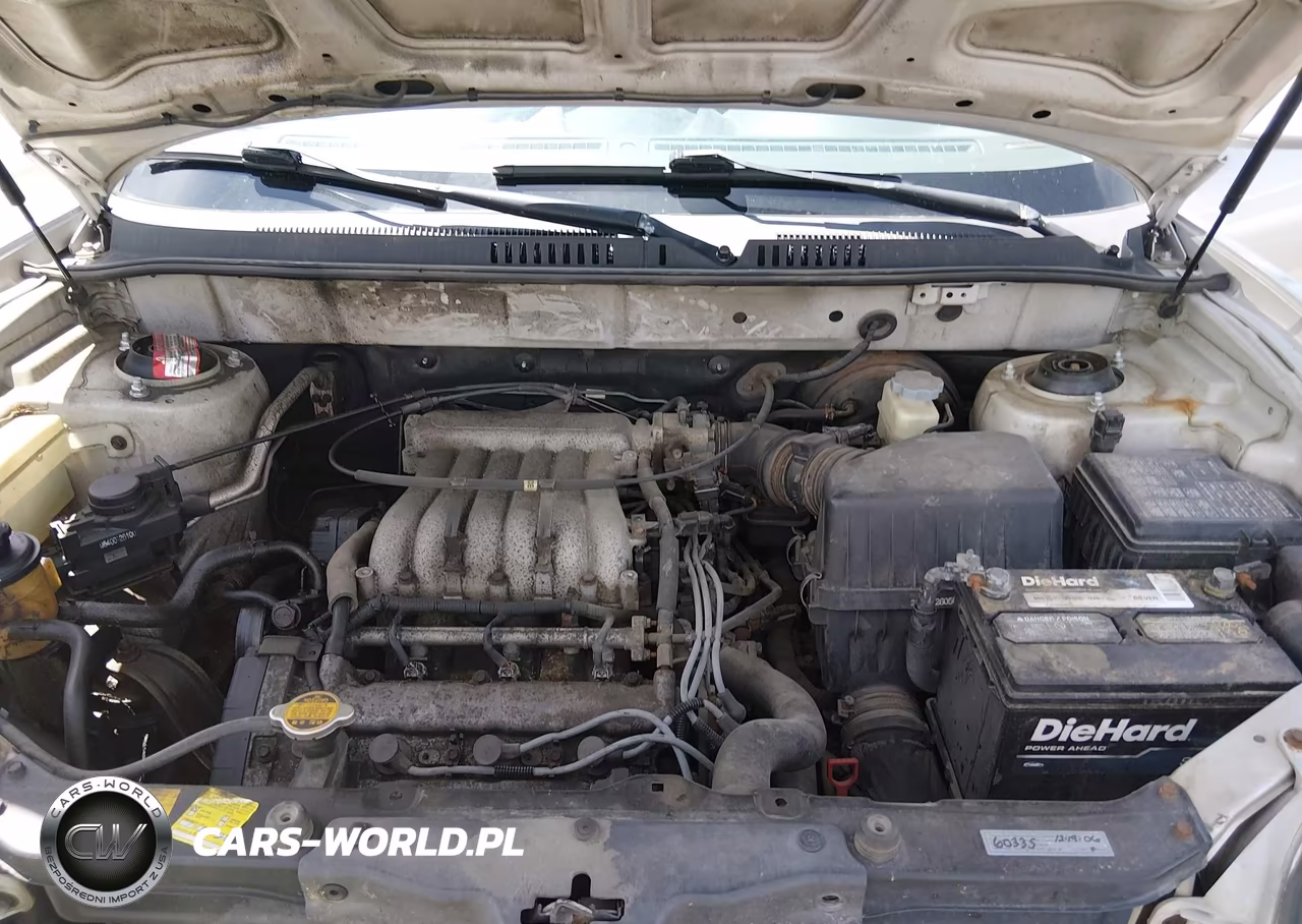 2002 Hyundai Santa Fe Gls-Lx VIN:KM8SC73D62U201674 - 10