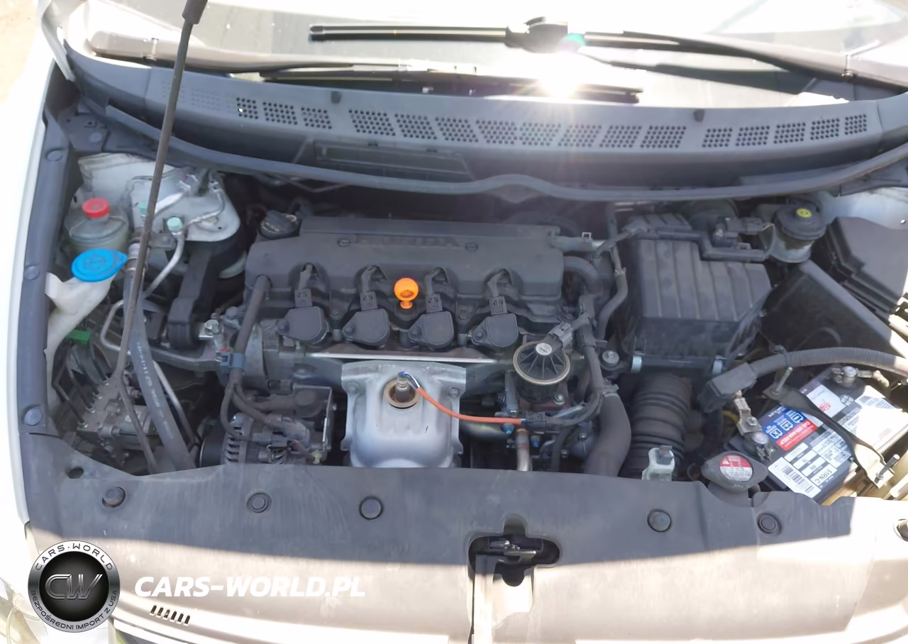 2009 Honda Civic Lx VIN:2HGFA165X9H304351 - 10