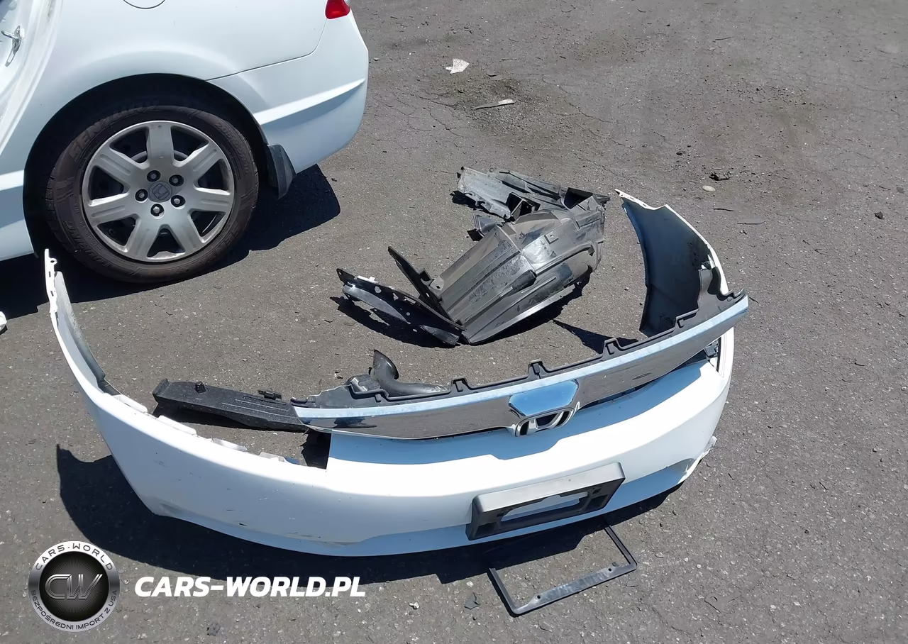 2009 Honda Civic Lx VIN:2HGFA165X9H304351 - 12