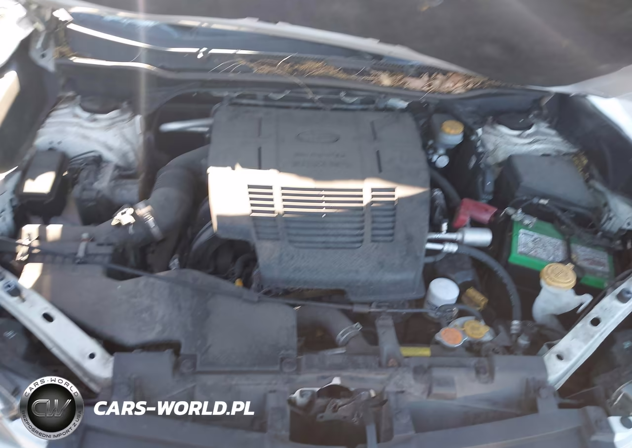 2019 Subaru Forester Limited VIN:JF2SKAUC6KH546644 - 10