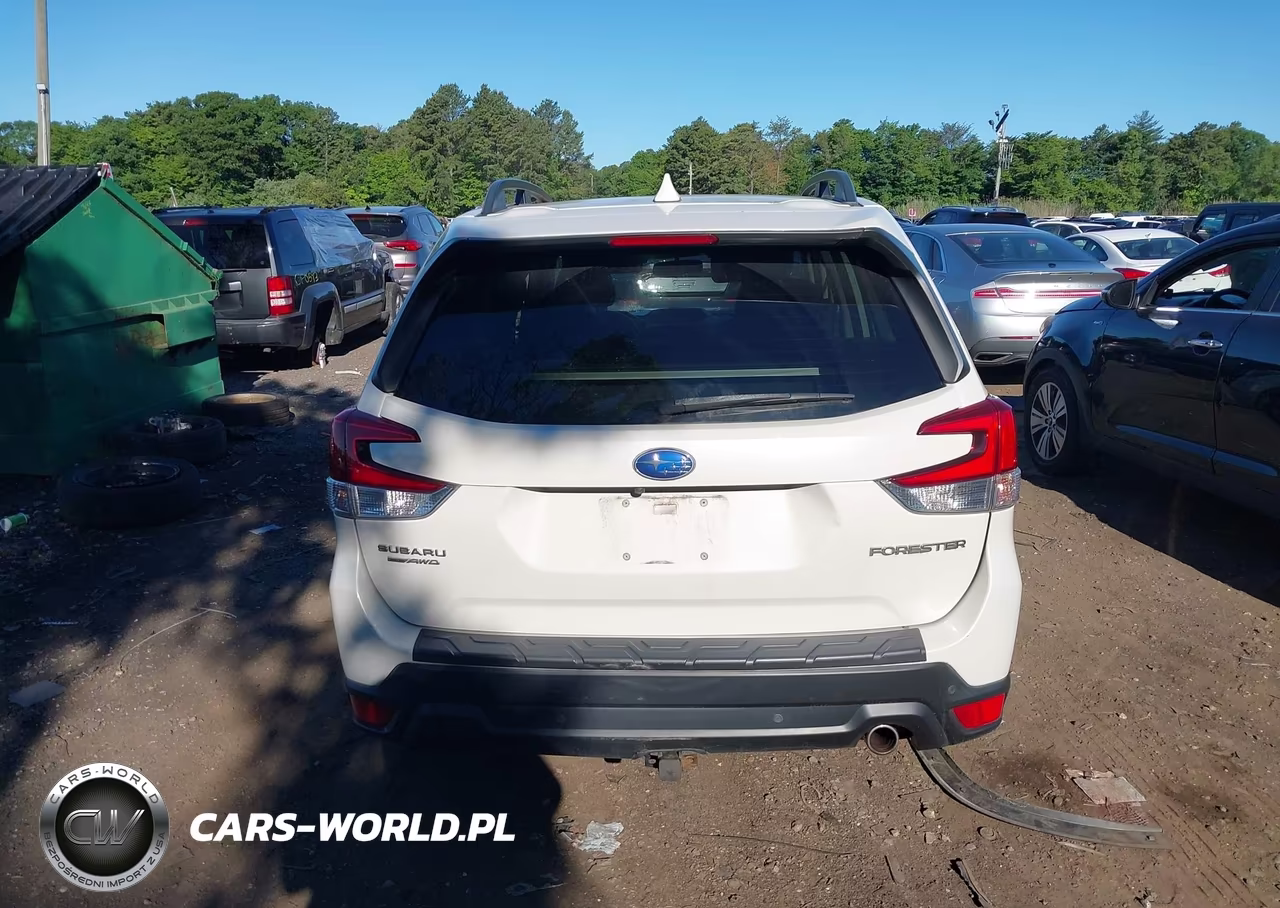 2019 Subaru Forester Limited VIN:JF2SKAUC6KH546644 - 16