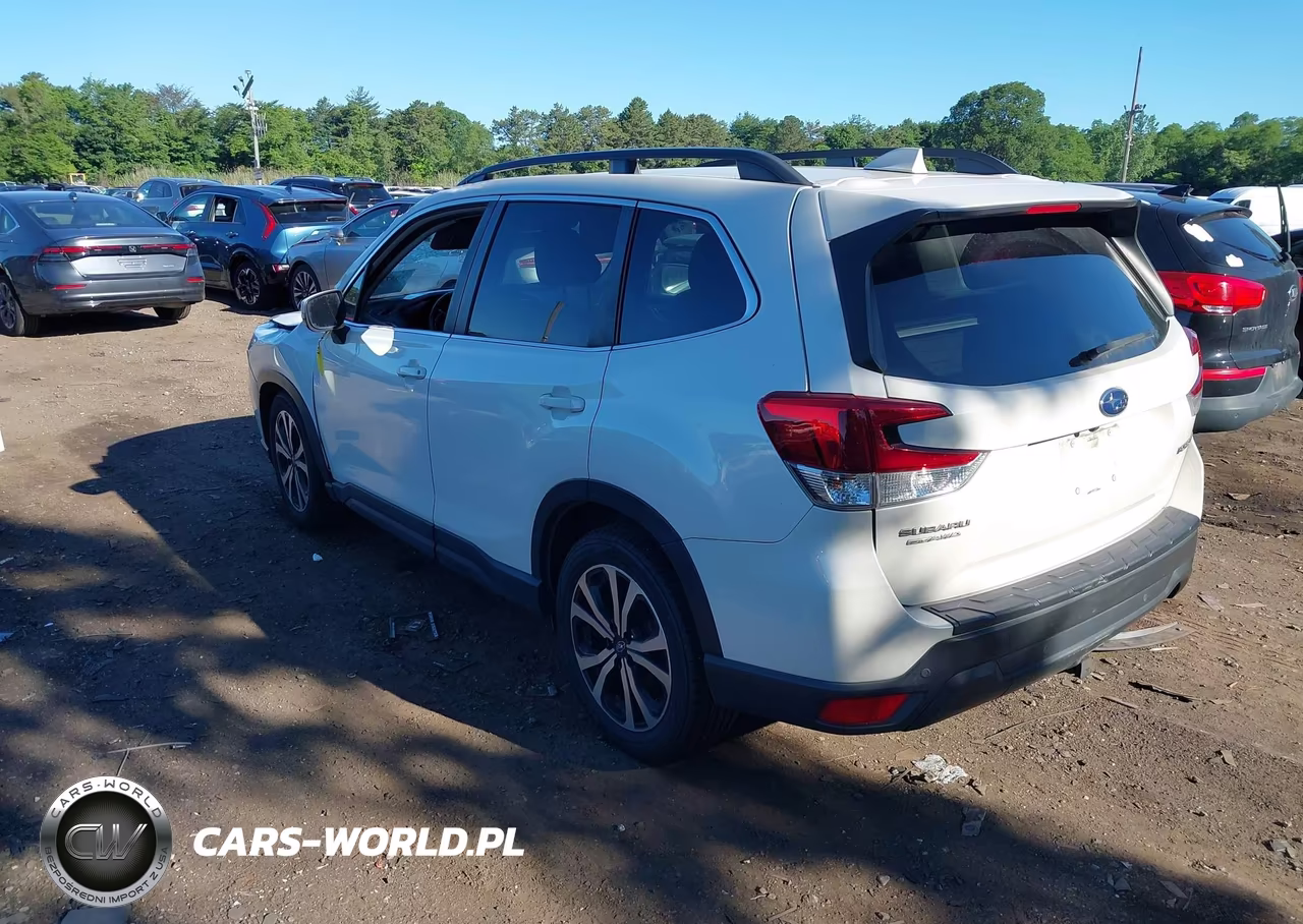 2019 Subaru Forester Limited VIN:JF2SKAUC6KH546644 - 3