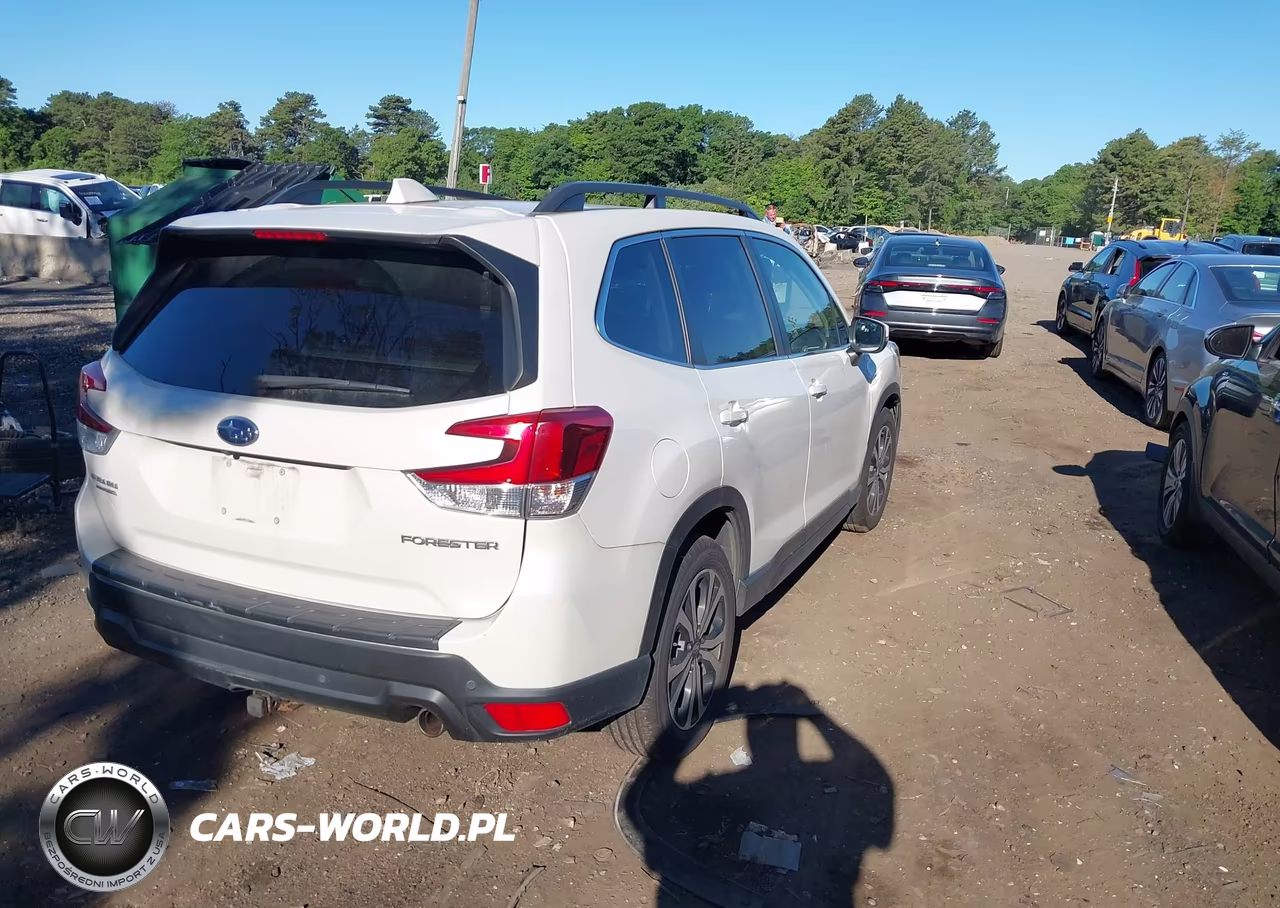 2019 Subaru Forester Limited VIN:JF2SKAUC6KH546644 - 4