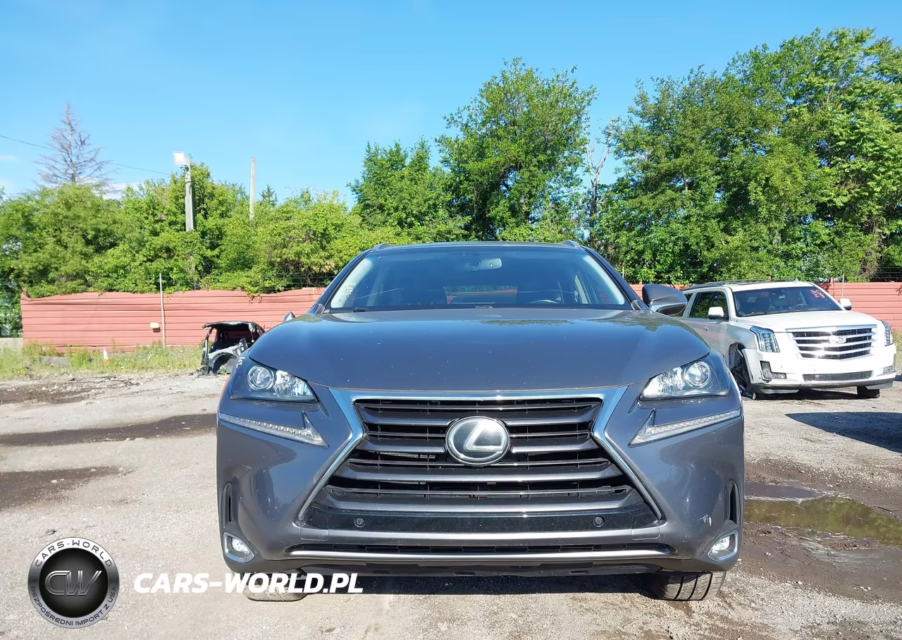 2015 Lexus Nx 200T VIN:JTJYARBZ2F2015108 - 12