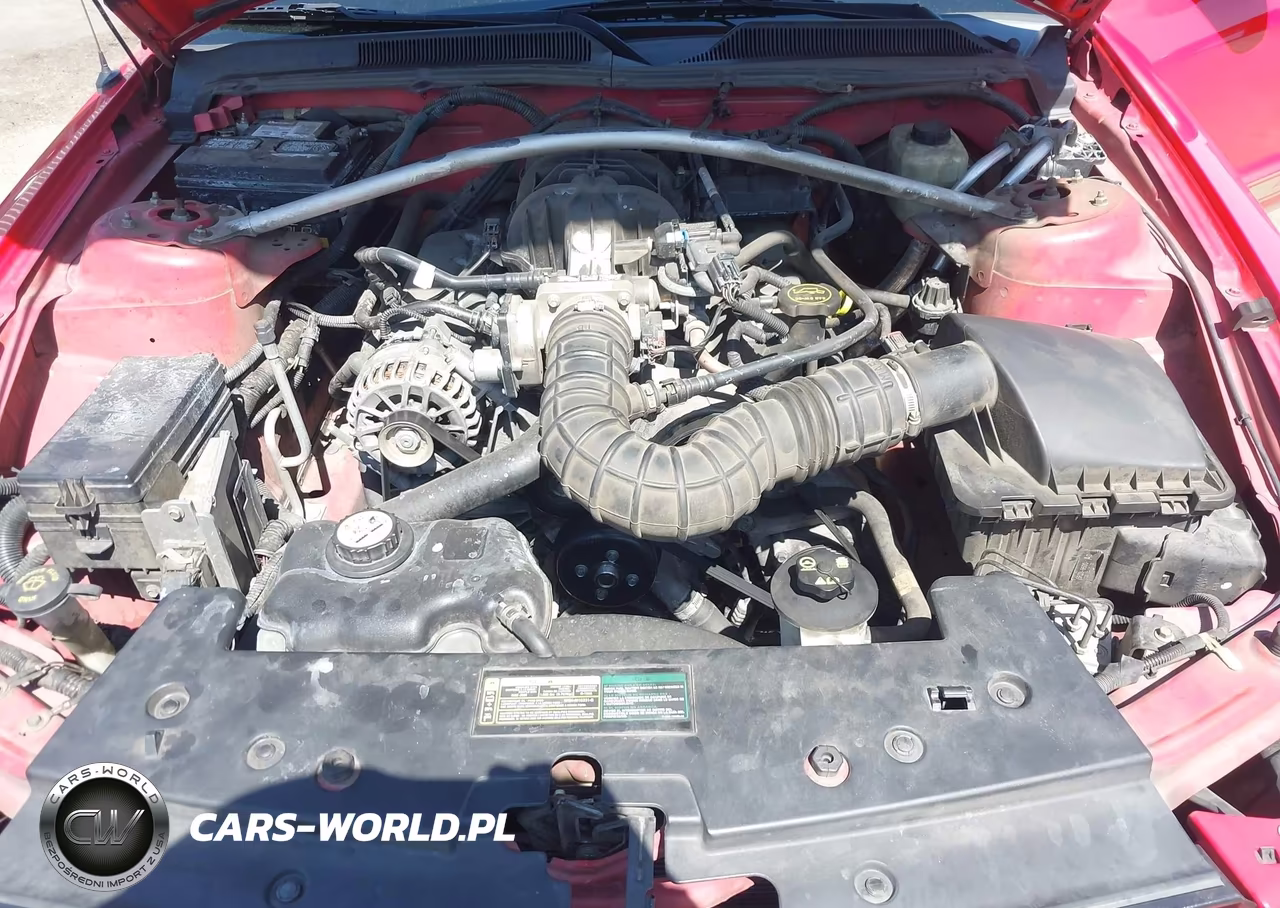 2006 Ford Mustang V6 VIN:1ZVFT84NX65240283 - 10