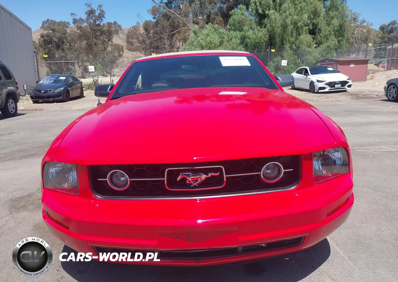 2006 Ford Mustang V6 VIN:1ZVFT84NX65240283 - 12