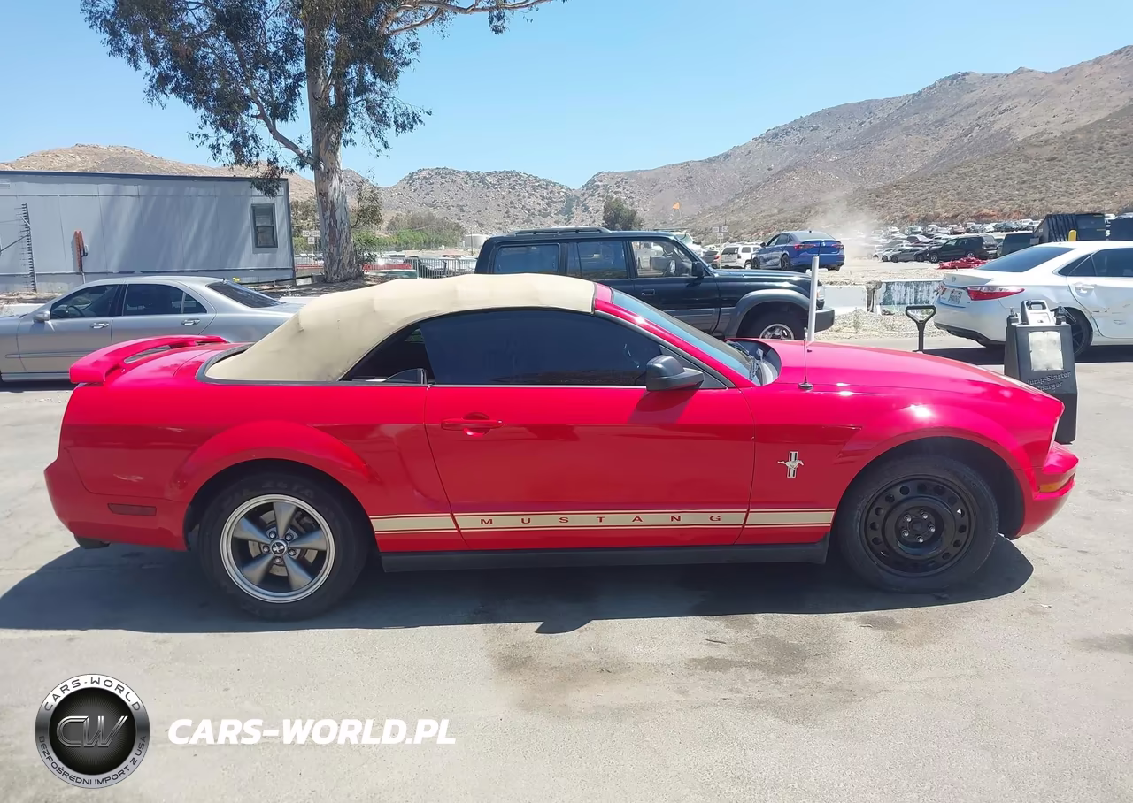 2006 Ford Mustang V6 VIN:1ZVFT84NX65240283 - 13