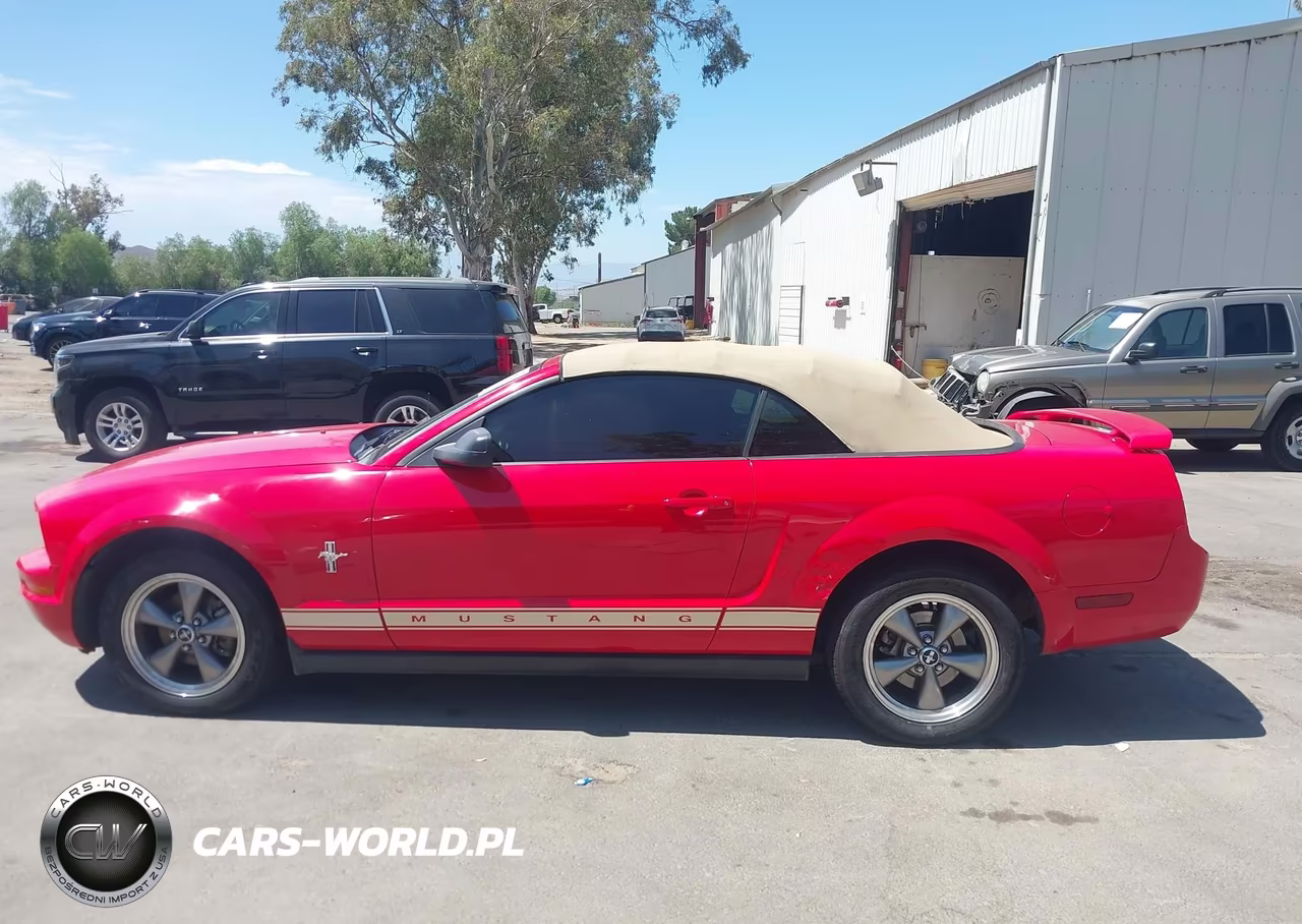 2006 Ford Mustang V6 VIN:1ZVFT84NX65240283 - 14