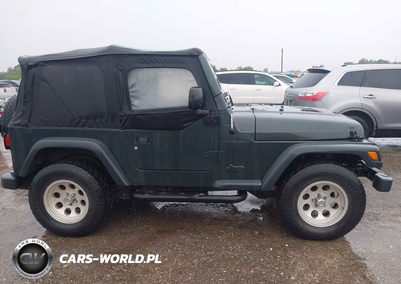 2003 Jeep Wrangler Sport VIN:1J4FA49S43P348280 - 13