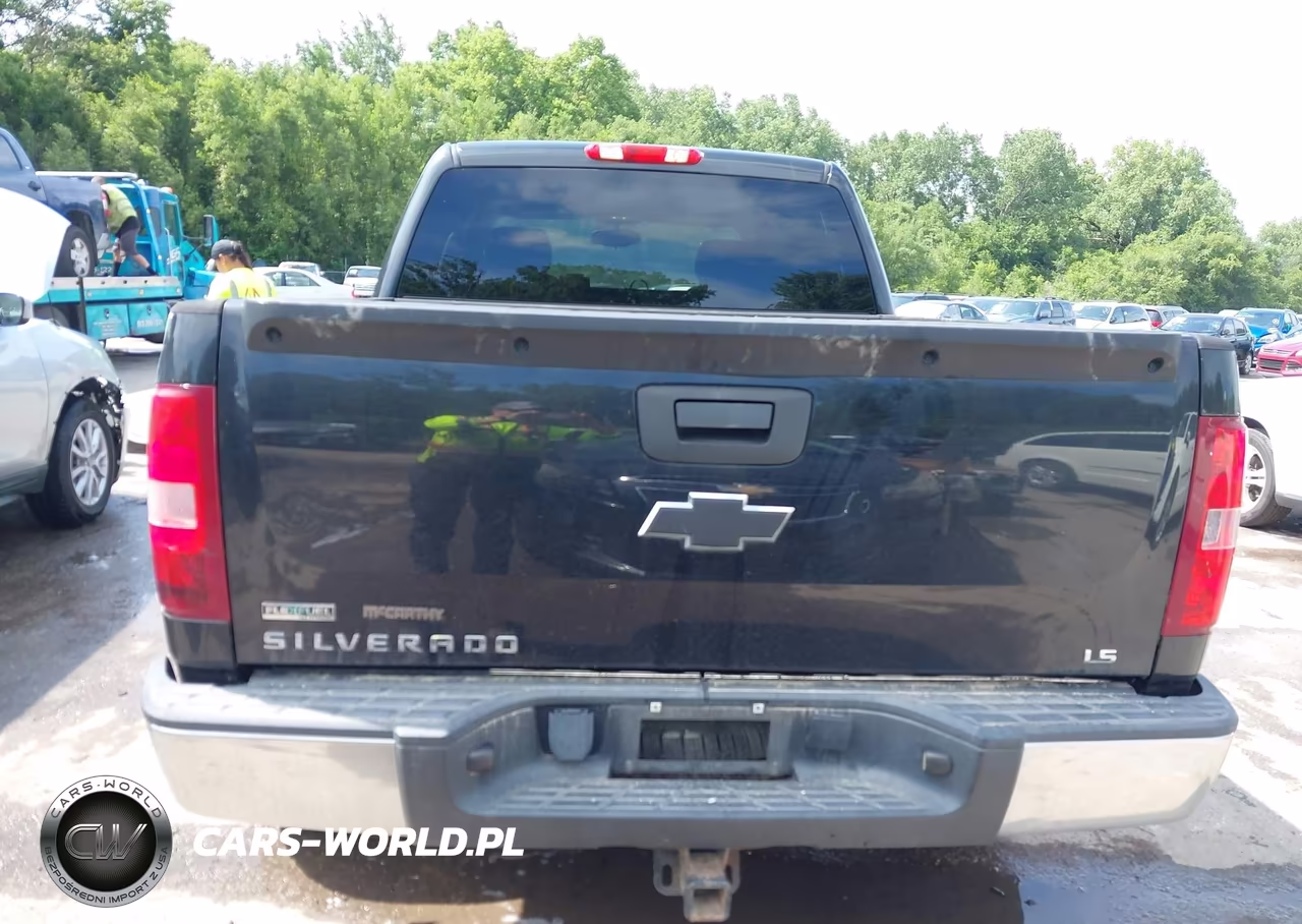 2010 Chevrolet Silverado 1500 Ls VIN:3GCRKREA1AG104923 - 16