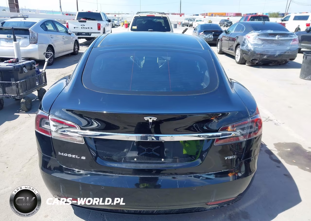 2018 Tesla Model S 100D-75D-P100D VIN:5YJSA1E21JF275529 - 17