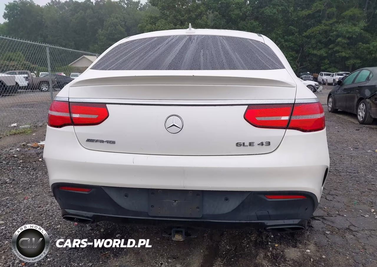 2019 Mercedes-Benz Amg Gle 43 Coupe 4Matic VIN:4JGED6EB6KA129487 - 17