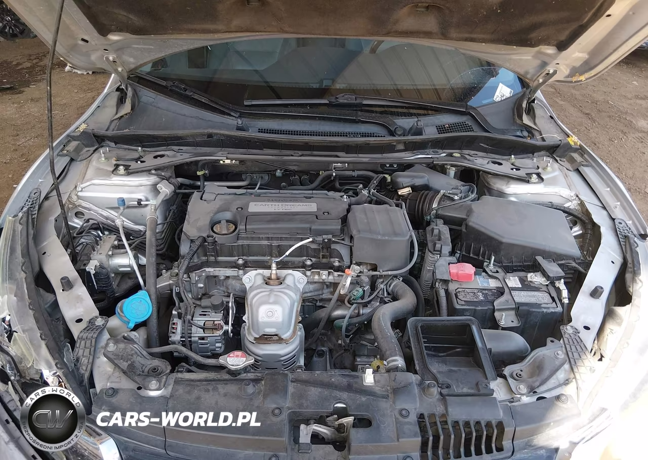 2014 Honda Accord Ex-L VIN:1HGCR2F83EA023044 - 10