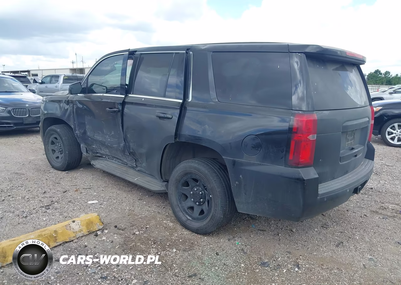 2017 Chevrolet Tahoe Commercial Fleet VIN:1GNLCDEC3HR376074 - 3