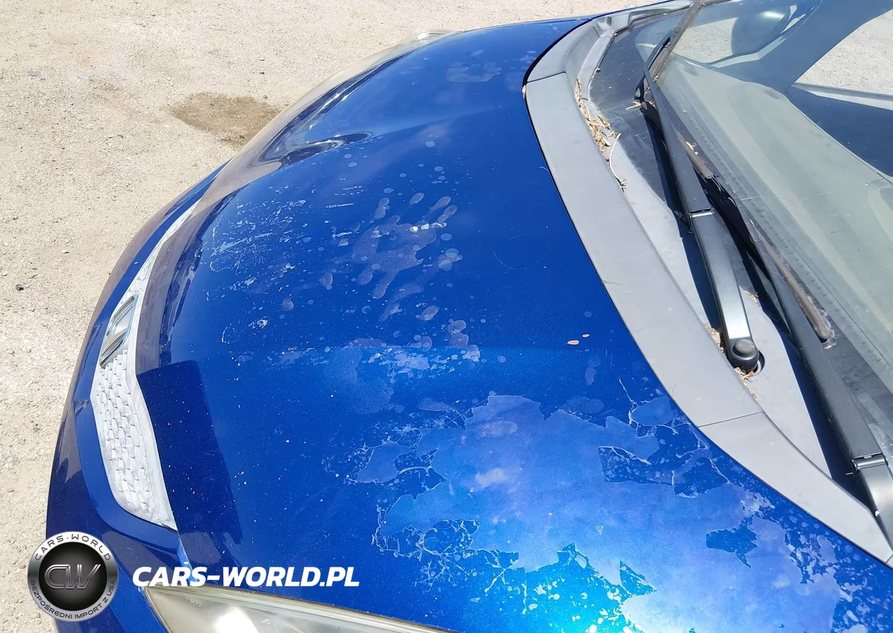 2009 Honda Fit VIN:JHMGE882X9S051896 - 6