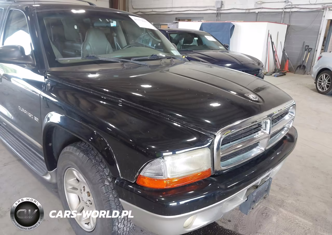 2001 Dodge Durango VIN:1B4HR28N11F627919 - 6