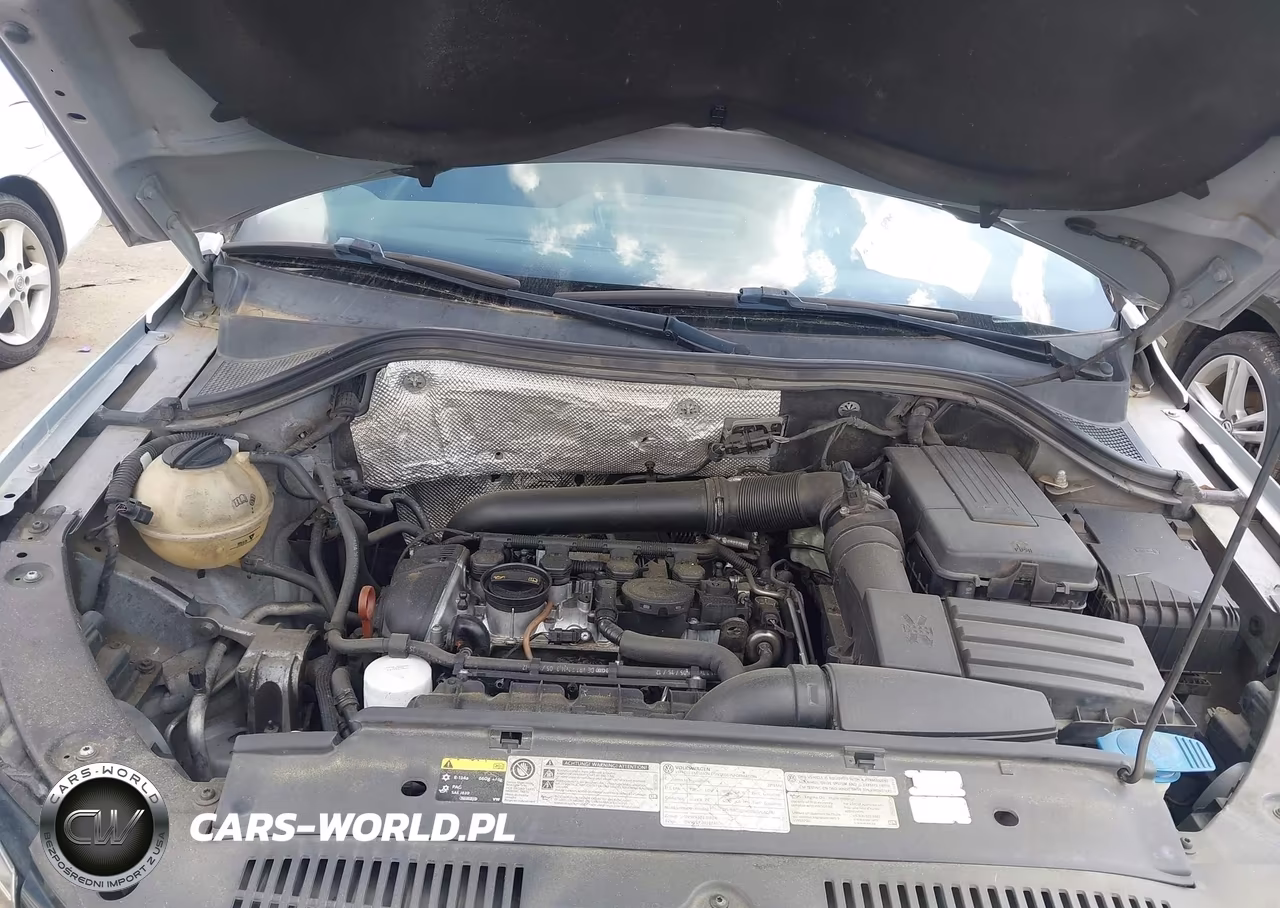 2013 Volkswagen Tiguan S VIN:WVGBV7AX2DW548398 - 10