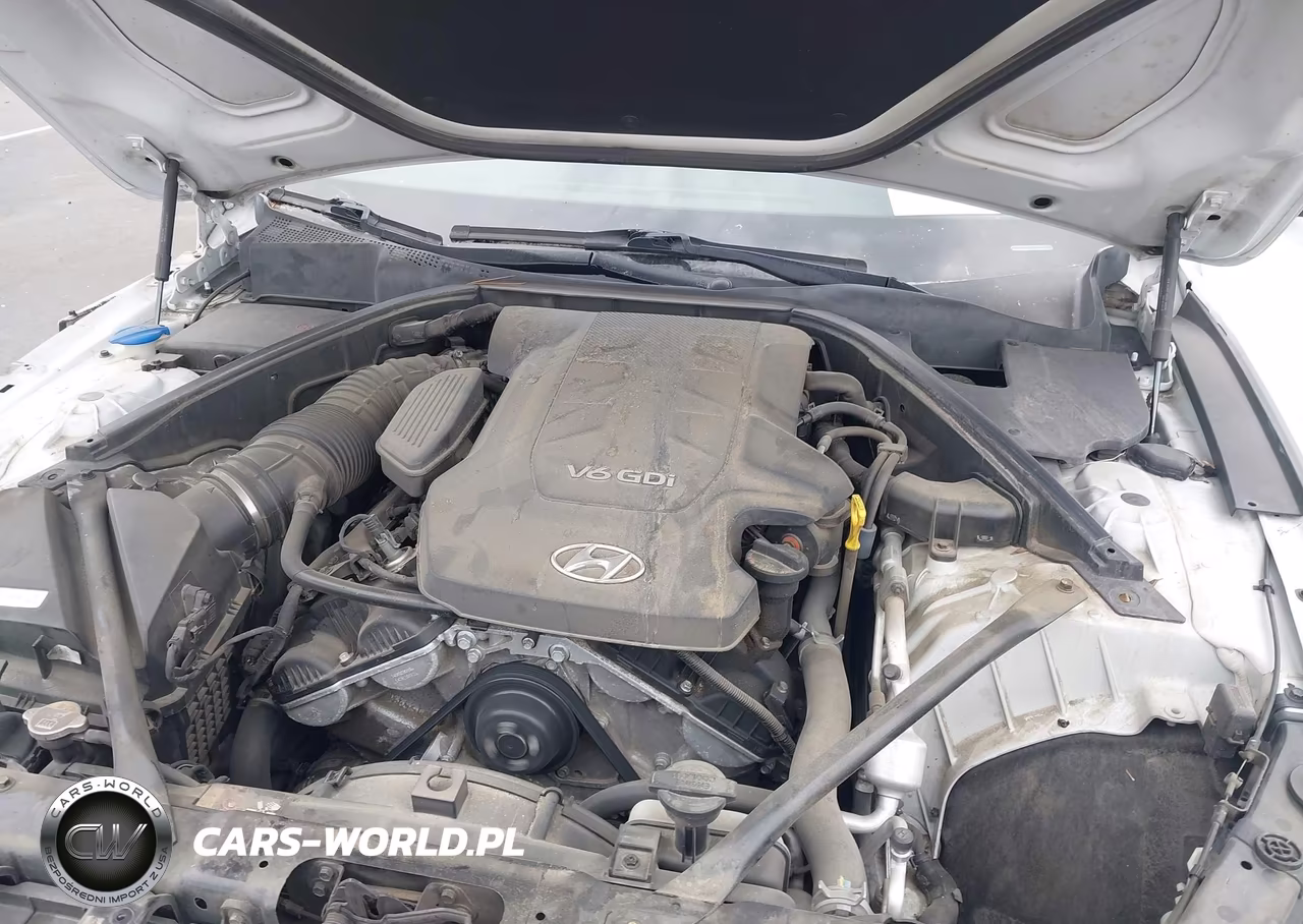 2015 Hyundai Genesis 3.8 VIN:KMHGN4JE2FU049599 - 10