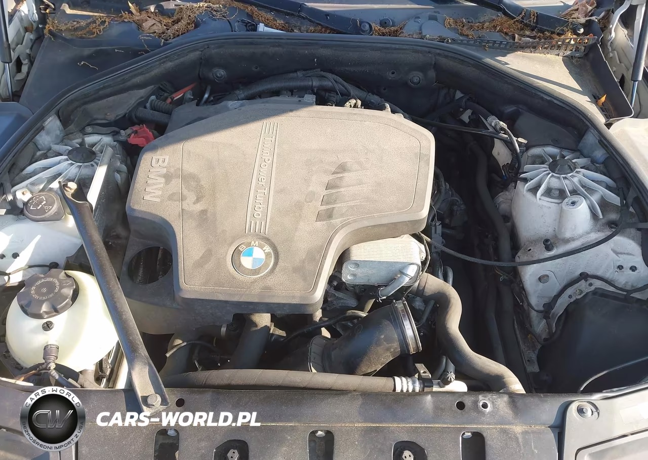 2013 BMW 528I xDrive VIN:WBAXH5C50DD108531 - 10