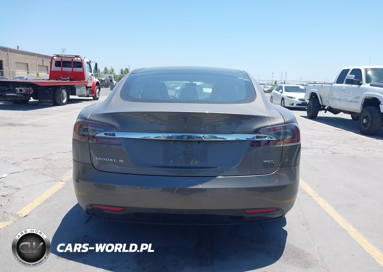 2016 Tesla Model S 60D-70D-75D-85D-90D VIN:5YJSA1E2XGF169363 - 17