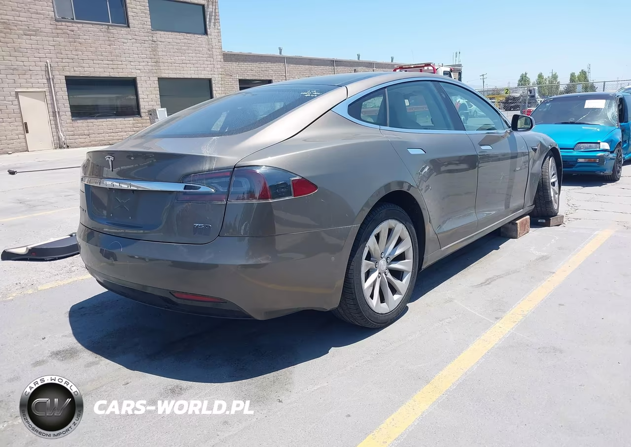 2016 Tesla Model S 60D-70D-75D-85D-90D VIN:5YJSA1E2XGF169363 - 4