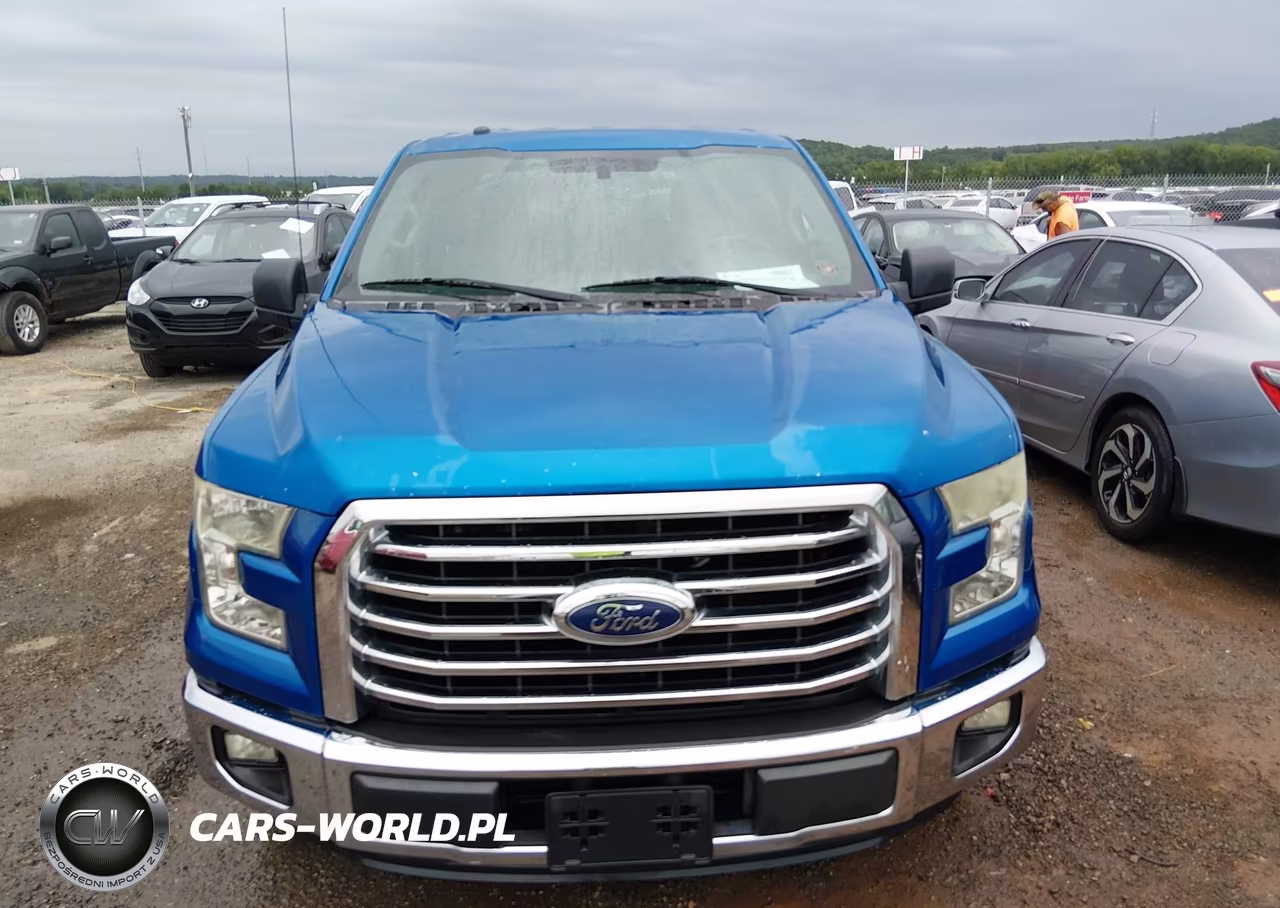 2015 Ford F-150 King Ranch-Lariat-Platinum-Xl-Xlt VIN:1FTEW1CG3FKD78779 - 12