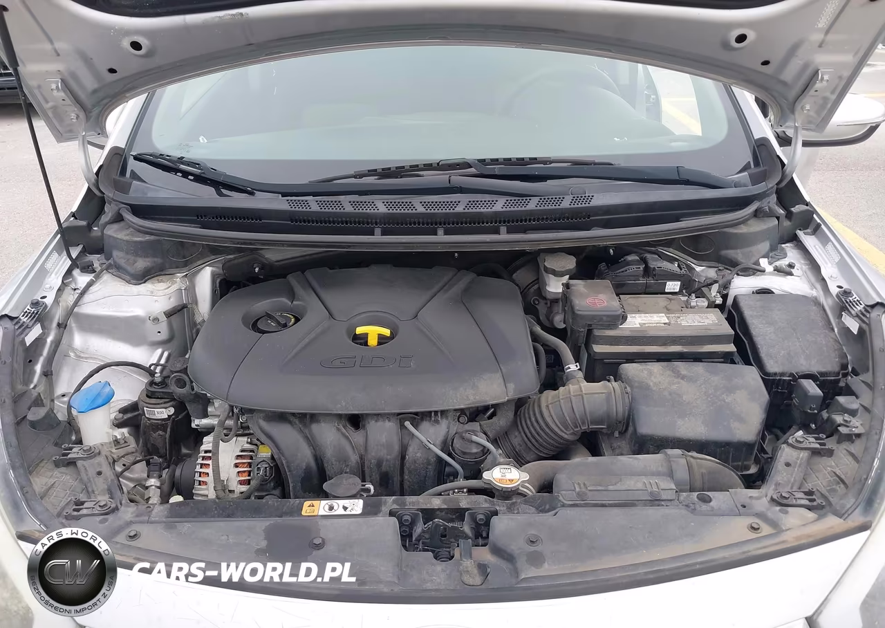 2016 Kia Forte Lx VIN:KNAFK5A82G5571781 - 10