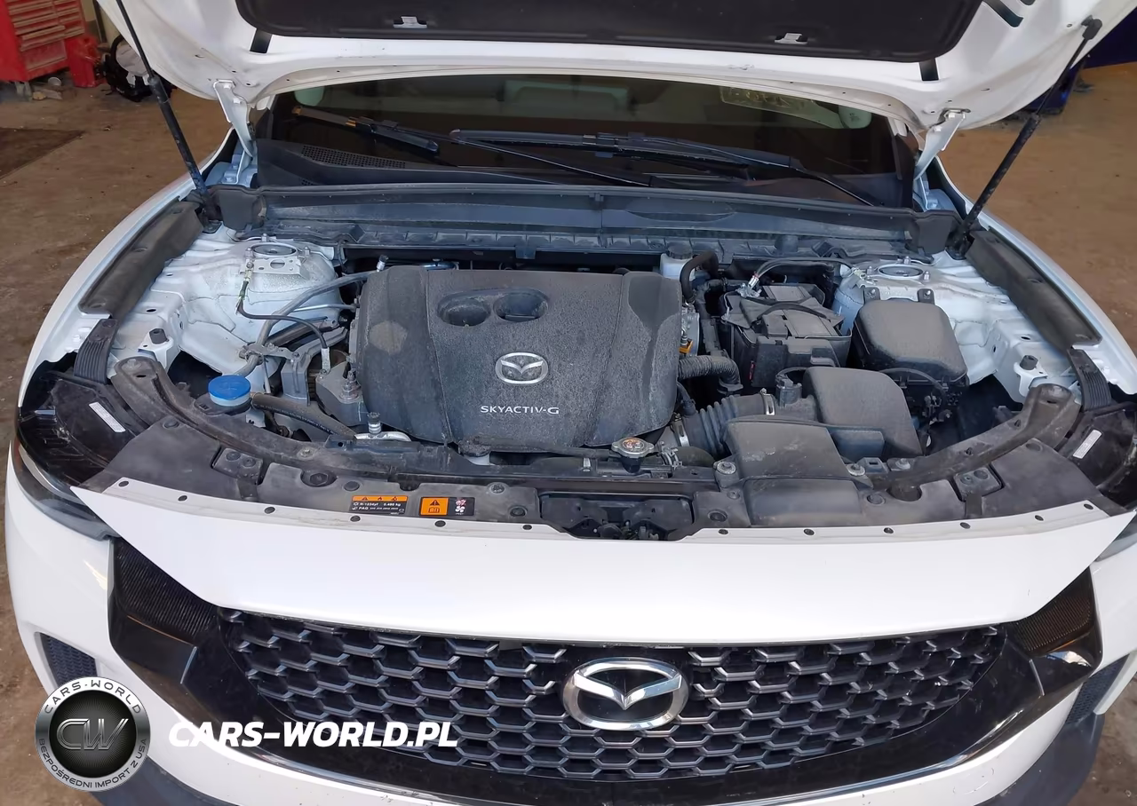 2023 Mazda Cx-50 2.5 S Premium Plus VIN:7MMVABEM0PN121828 - 10