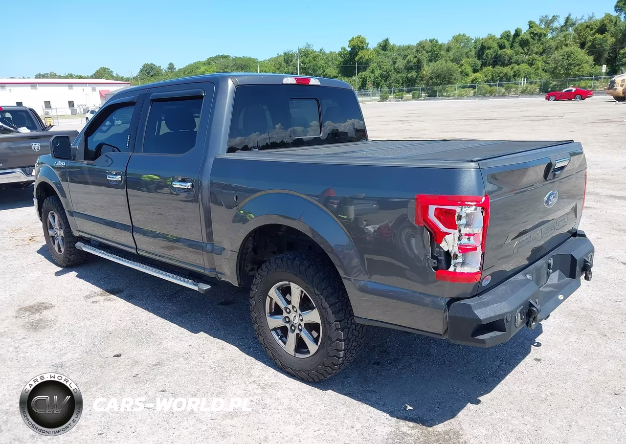 2020 Ford F-150 Xlt VIN:1FTEW1CP0LFC46292 - 3