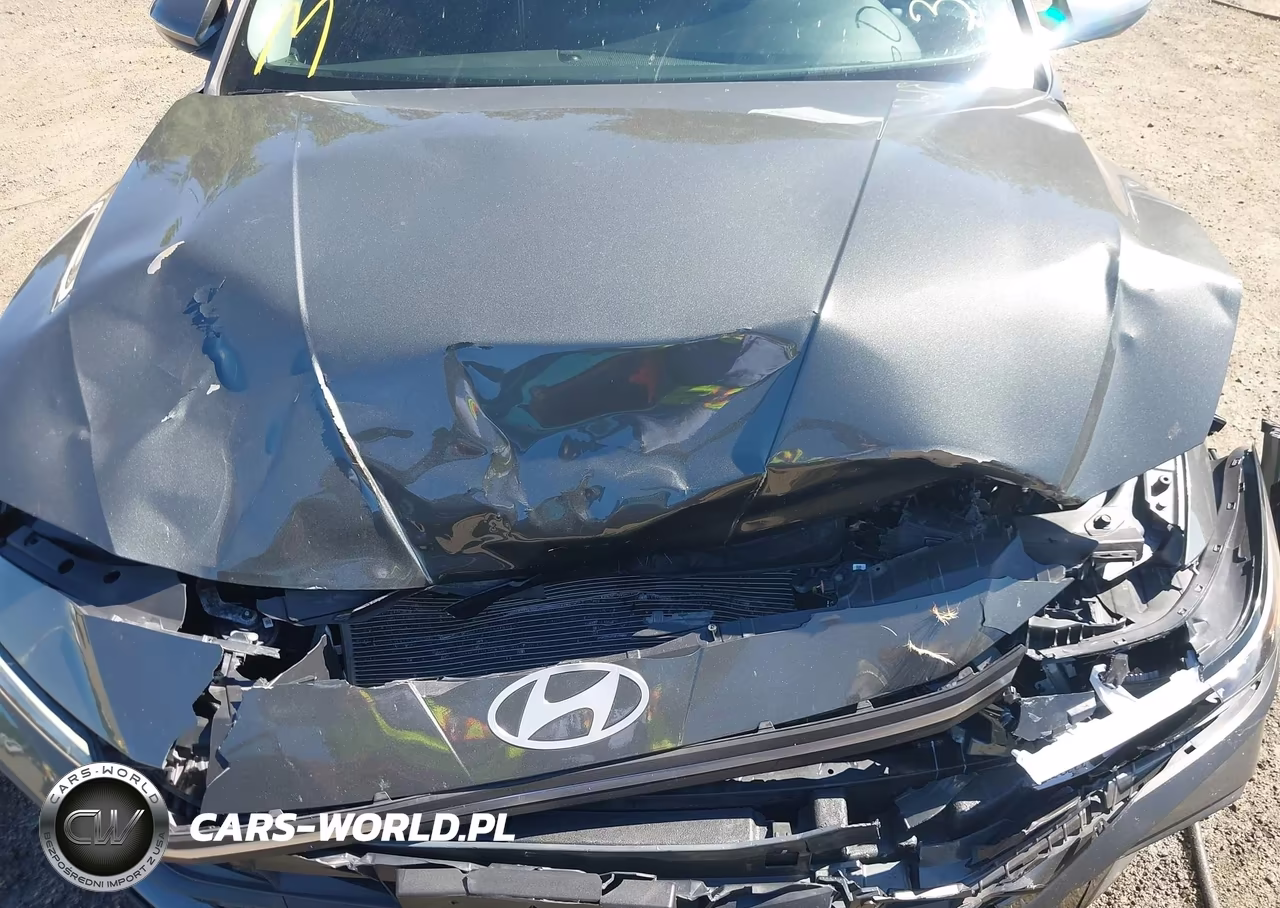 2024 Hyundai Elantra Sel VIN:KMHLM4DG2RU847300 - 10