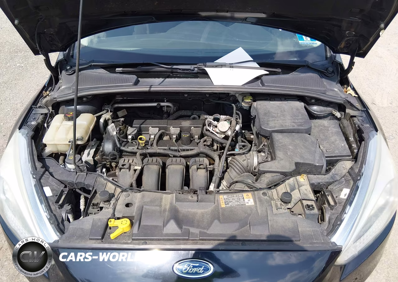 2016 Ford Focus Se VIN:1FADP3F22GL317994 - 10