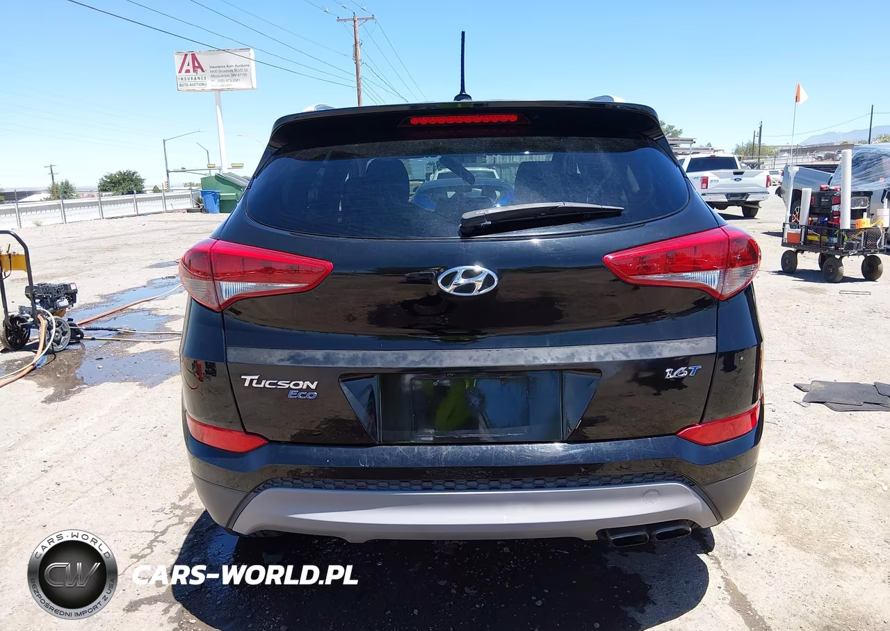 2017 Hyundai Tucson Eco VIN:KM8J33A23HU551357 - 16