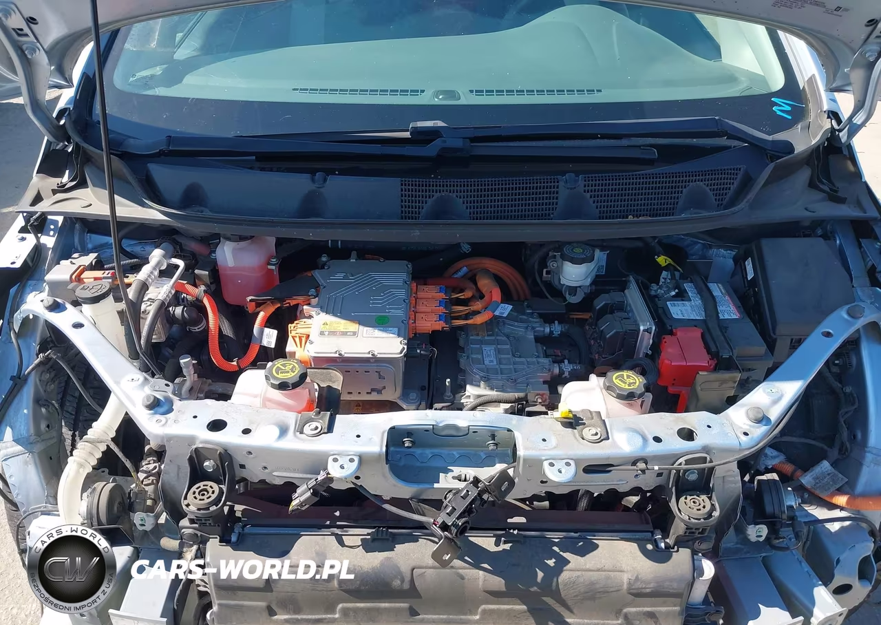 2017 Chevrolet Bolt Ev Lt VIN:1G1FW6S0XH4189469 - 10
