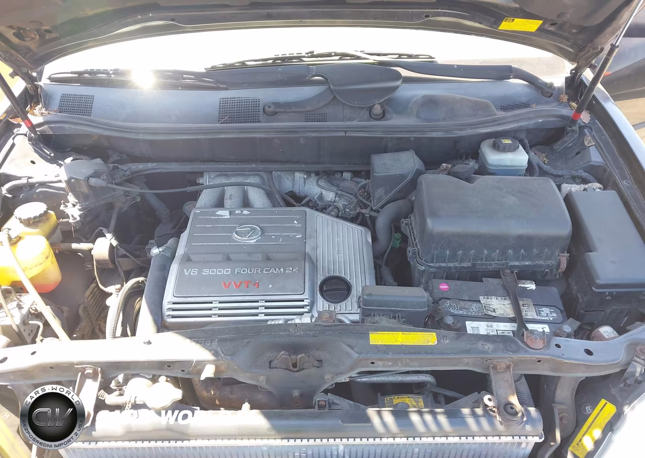 2002 Lexus Rx 300 VIN:JTJGF10U020149286 - 10