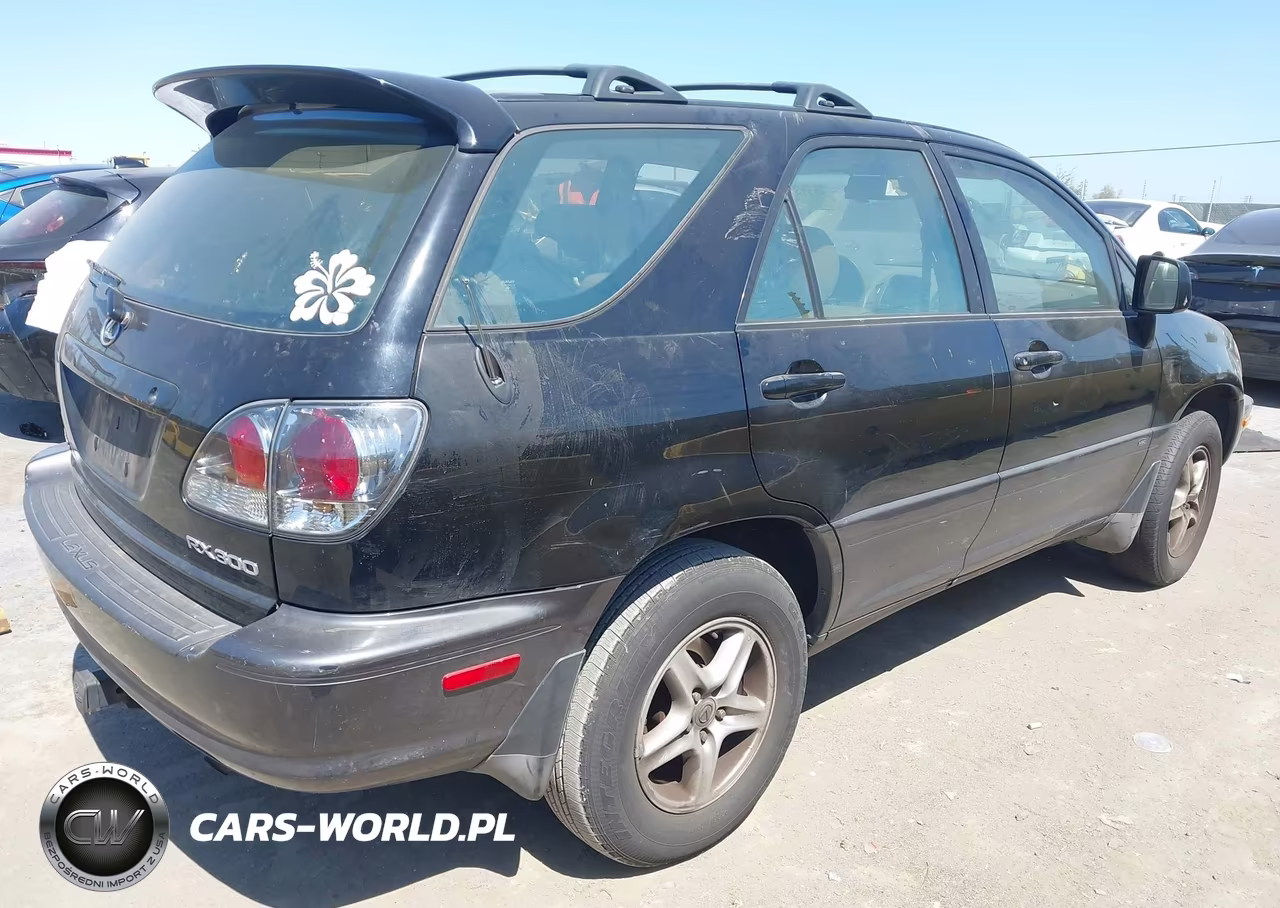 2002 Lexus Rx 300 VIN:JTJGF10U020149286 - 4